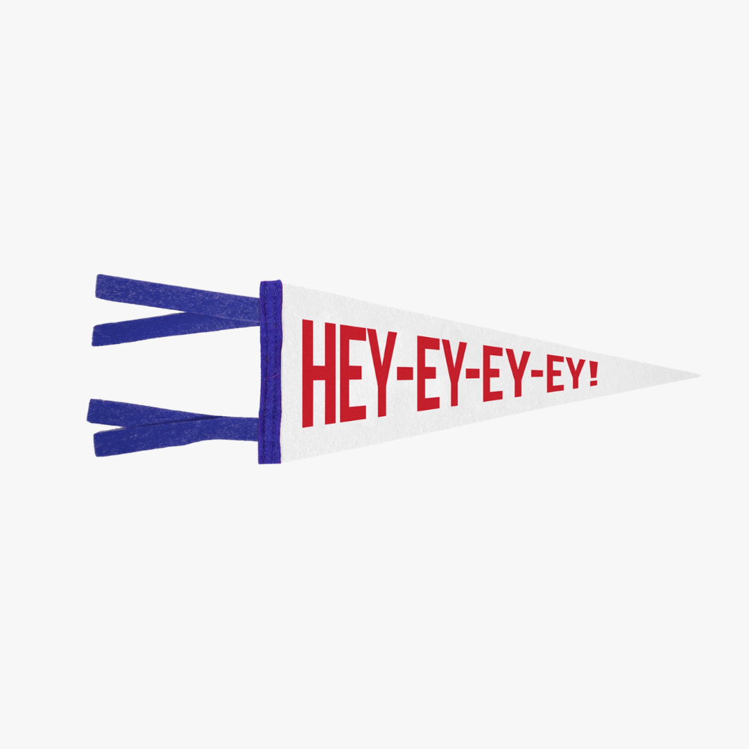 Buffalo Mini Pennants