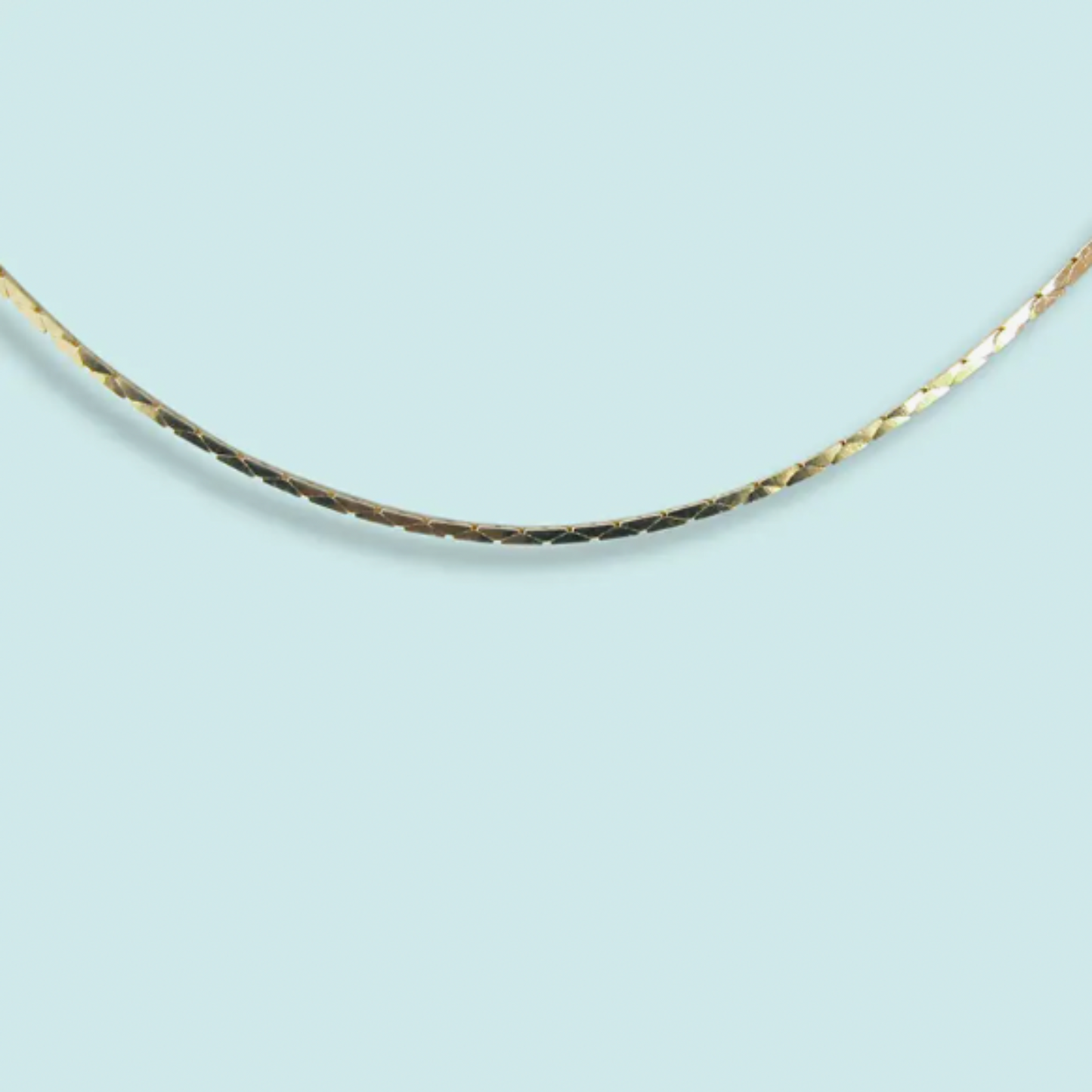 Serpentine Chain Necklace