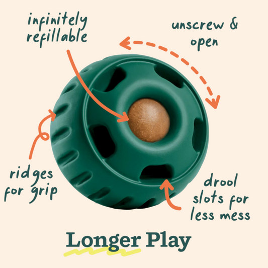 The Pupsicle (for dogs)