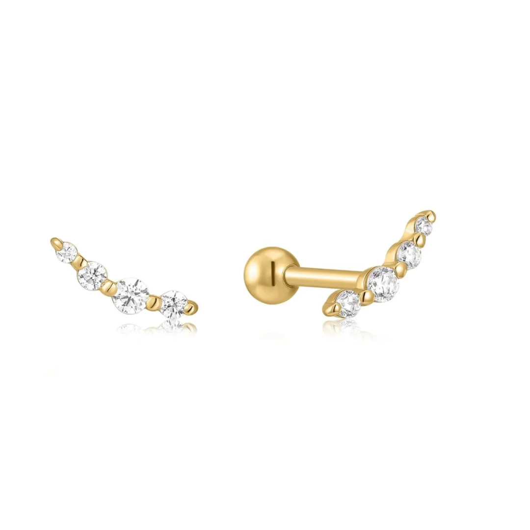 Eklexic Earrings