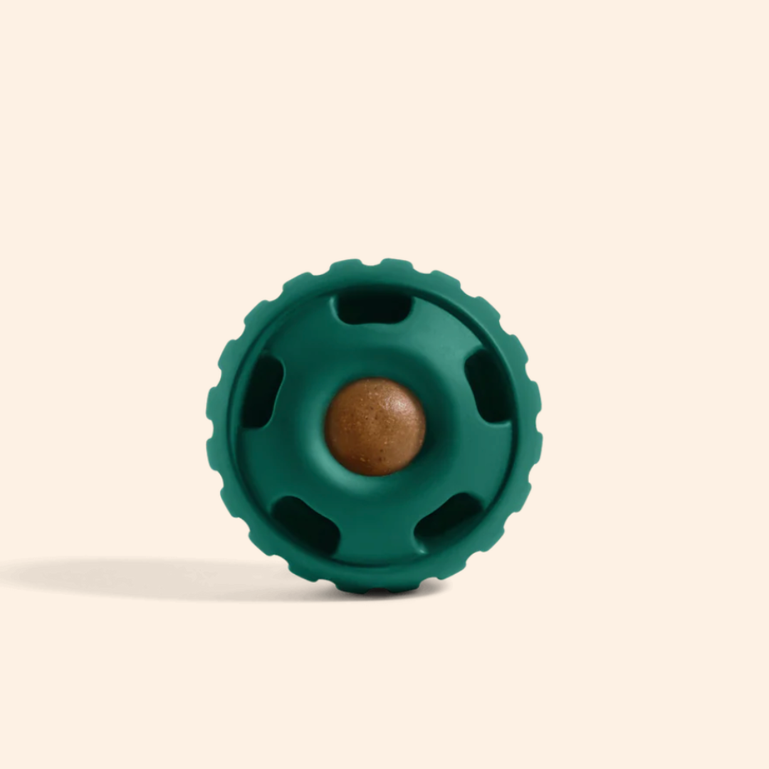 The Pupsicle (for dogs)