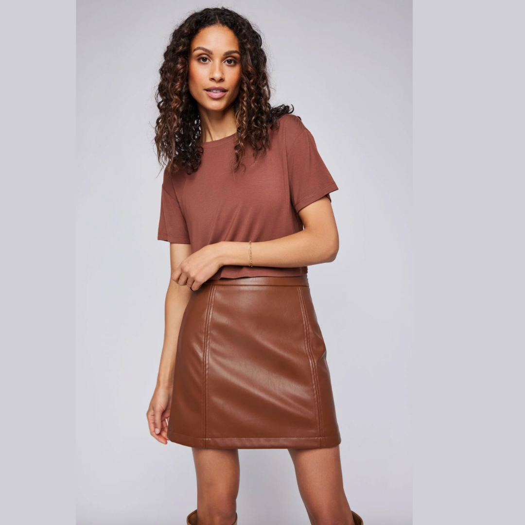 Chrissy Vegan Leather Mini Skirt