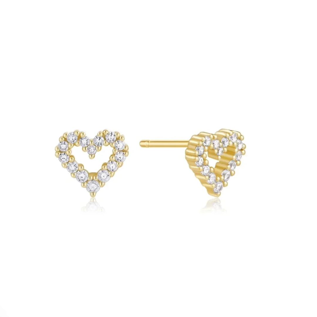 Eklexic Earrings