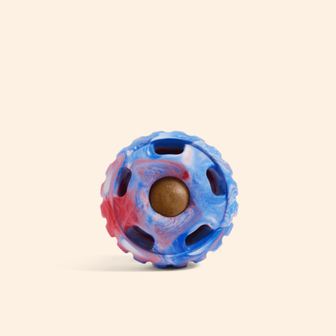 The Pupsicle (for dogs)
