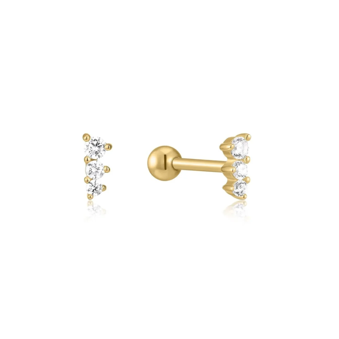Eklexic Earrings