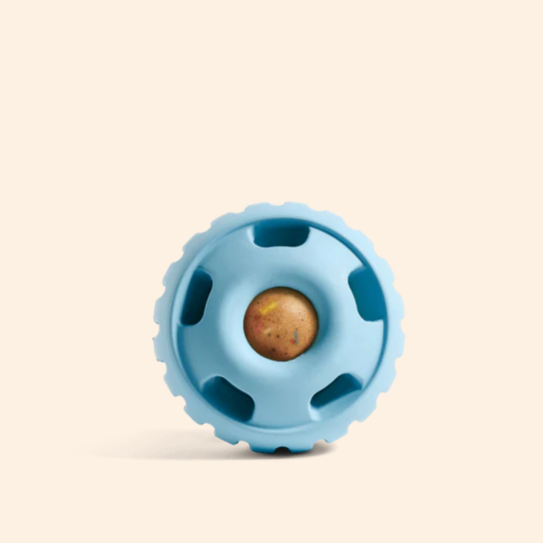 The Pupsicle (for dogs)