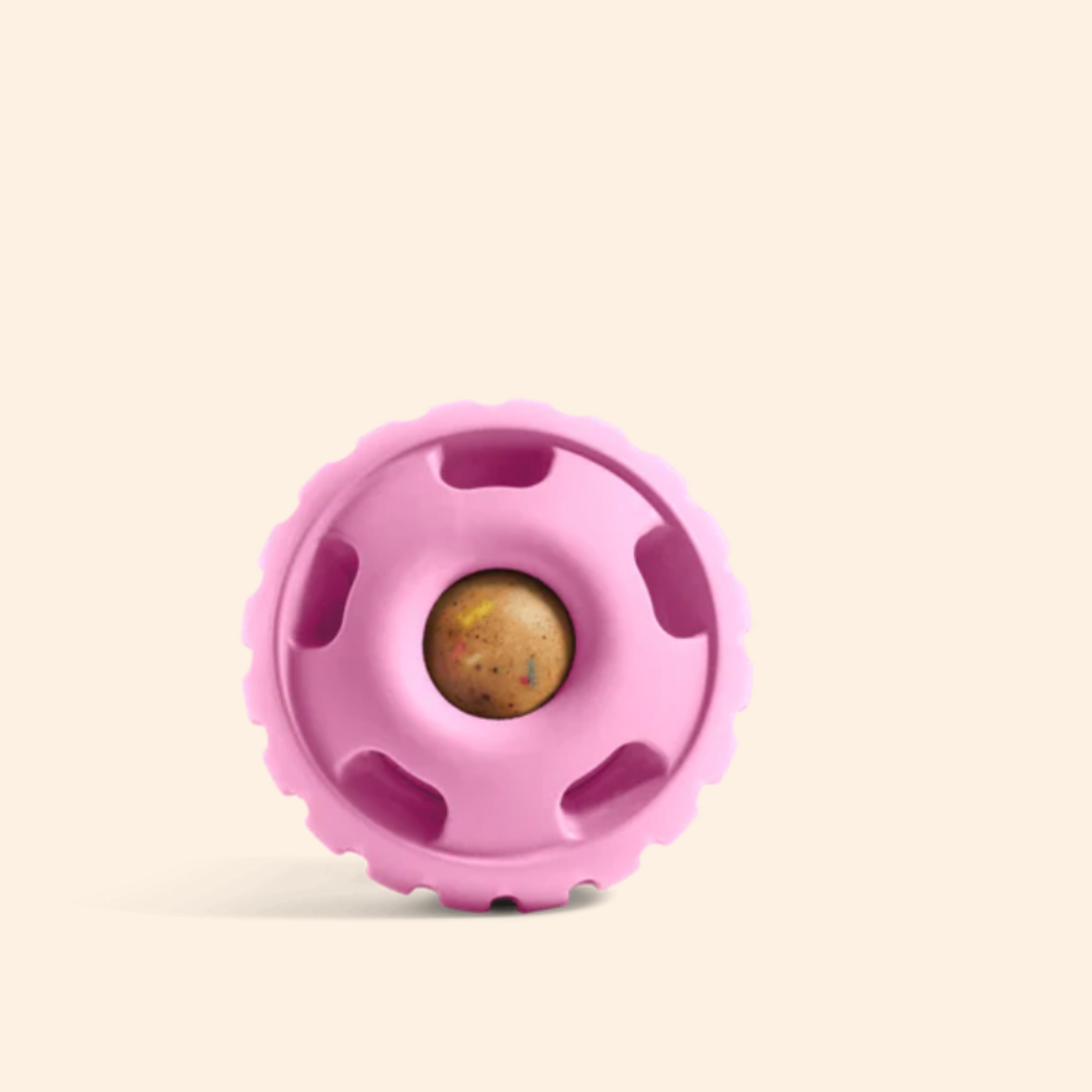 The Pupsicle (for dogs)