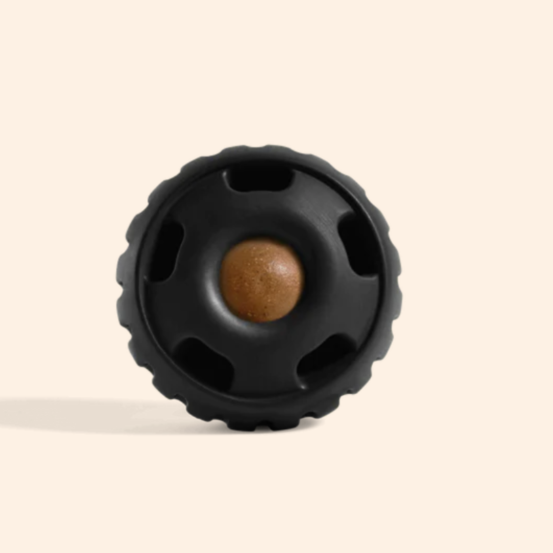 The Pupsicle (for dogs)
