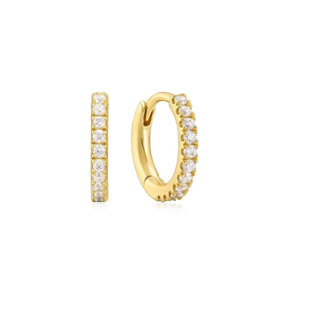 Eklexic Earrings