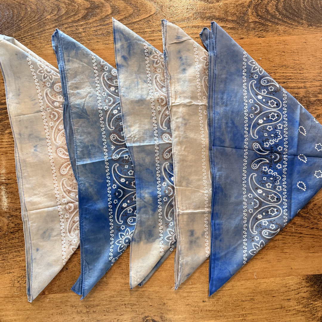 Hankercheif Bandanas