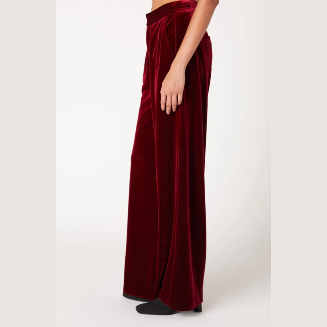 Sneak Peak Velvet Trouser