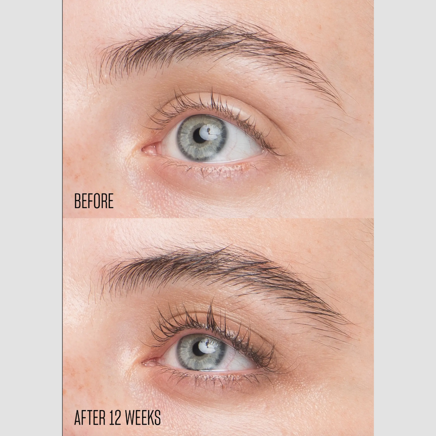 Babe Lash  Essential Lash Growth Serum